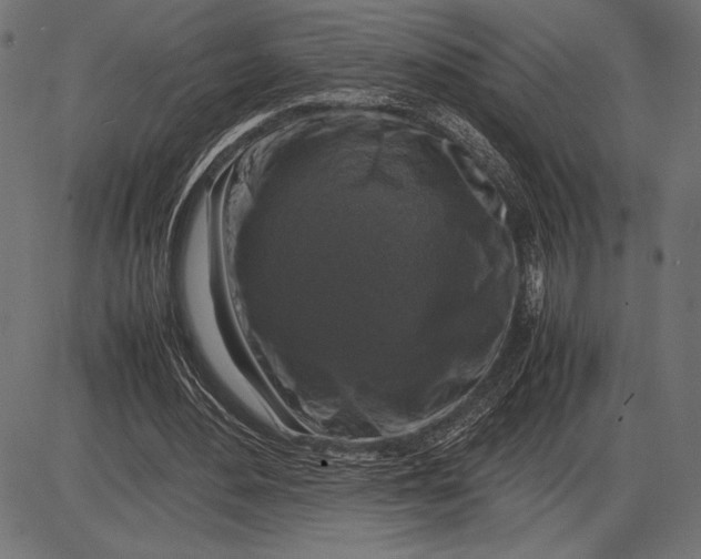 X0000086080484200704091305