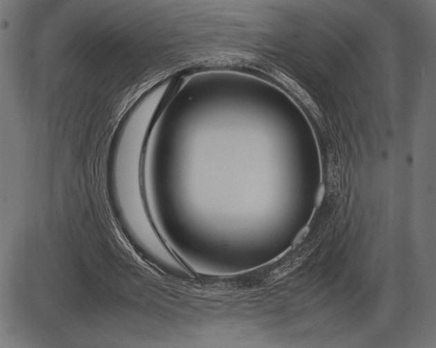 X0000086080485200704091305