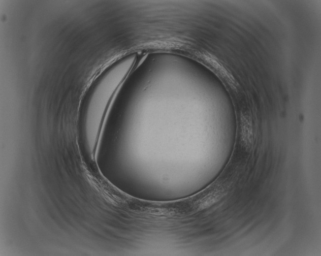 X0000086080486200704091305