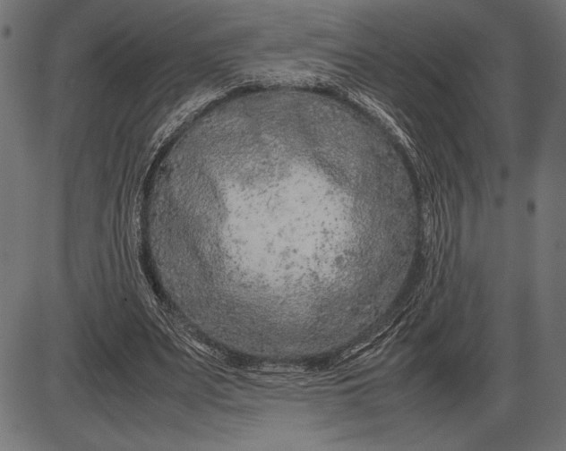 X0000086080487200704091305