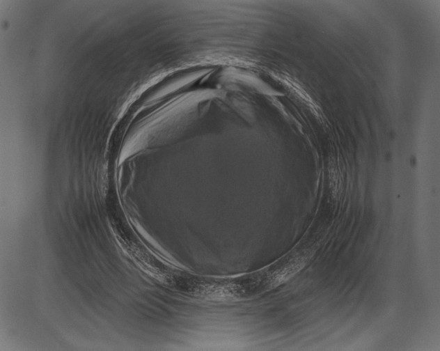 X0000086080488200704091305