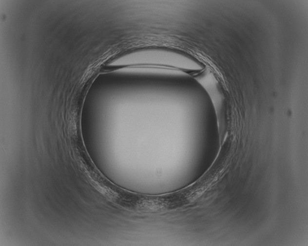 X0000086080489200704091305