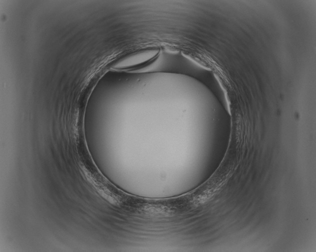 X0000086080490200704091305