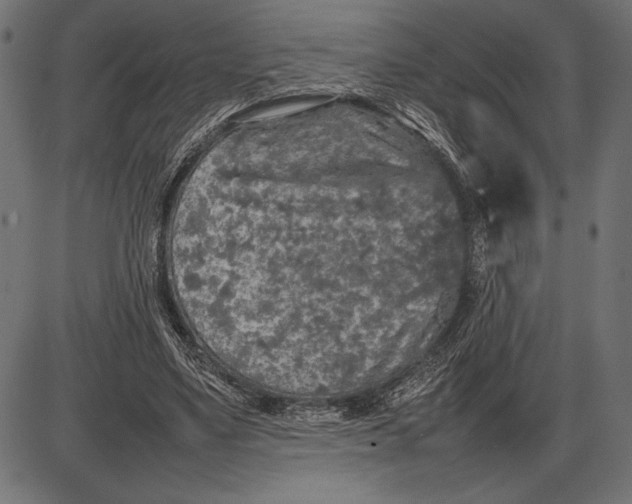 X0000086080491200704091305