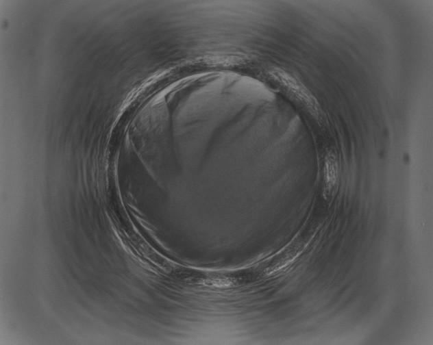 X0000086080492200704091305