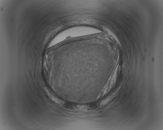 X0000086080493200704091305