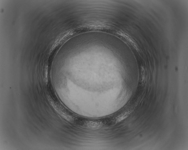 X0000086080494200704091305