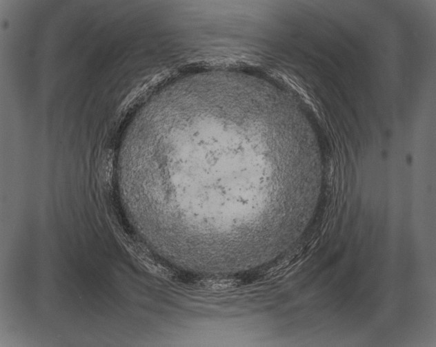 X0000086080495200704091305