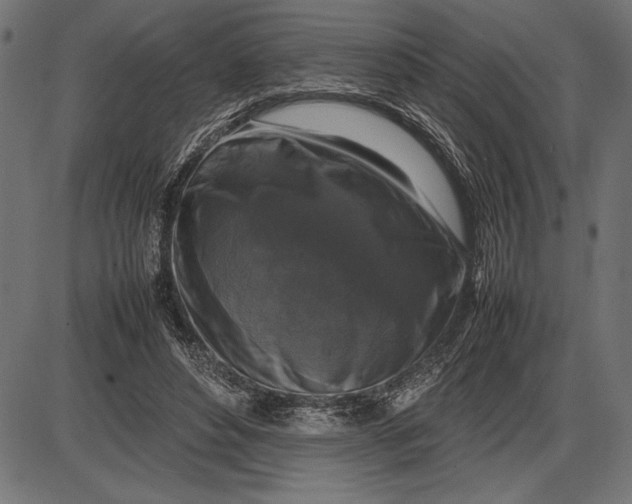 X0000086080496200704091305