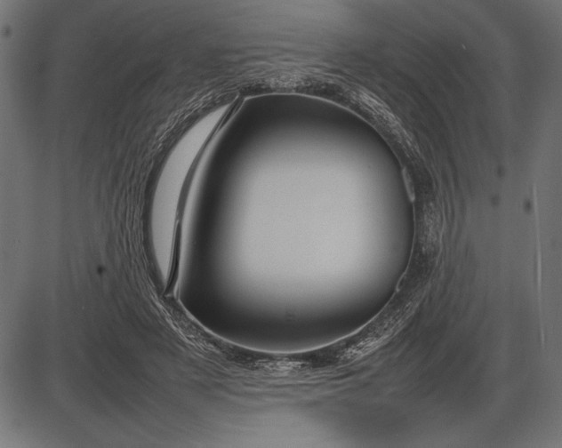 X0000086080497200704091305