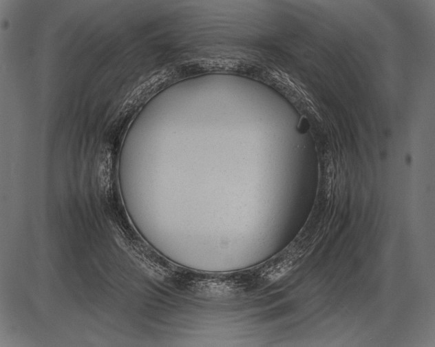 X0000086080498200704091305