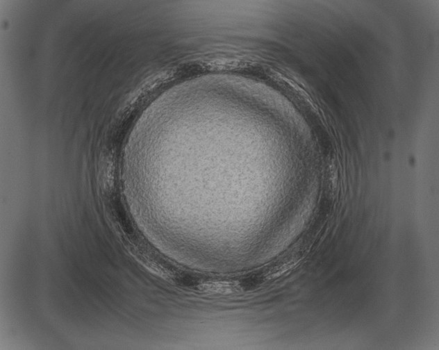 X0000086080499200704091305