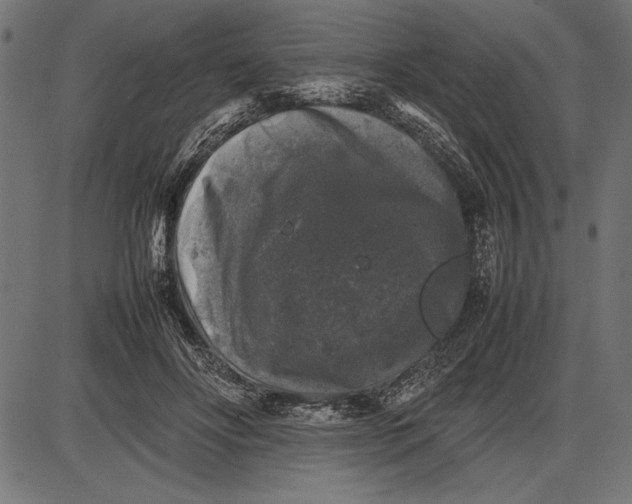 X0000086080502200704091304