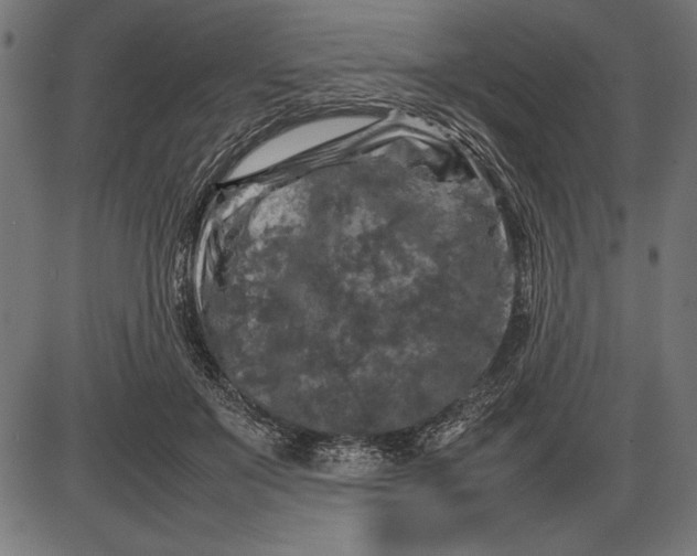 X0000086080503200704091304