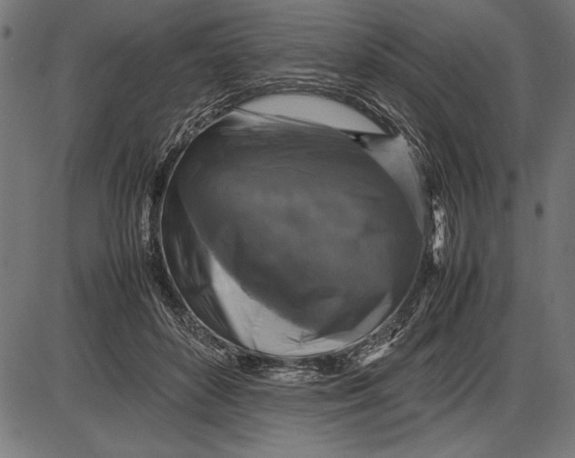 X0000086080504200704091304