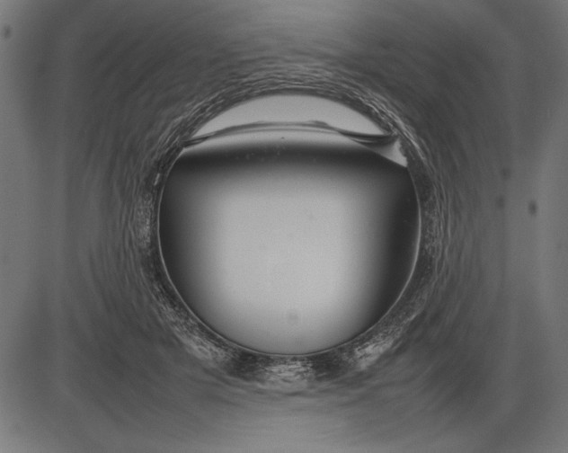 X0000086080505200704091304