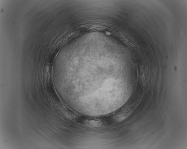 X0000086080506200704091304