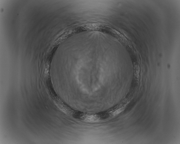 X0000086080507200704091304