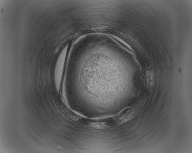 X0000086080508200704091304