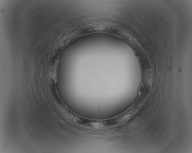 X0000086080509200704091304