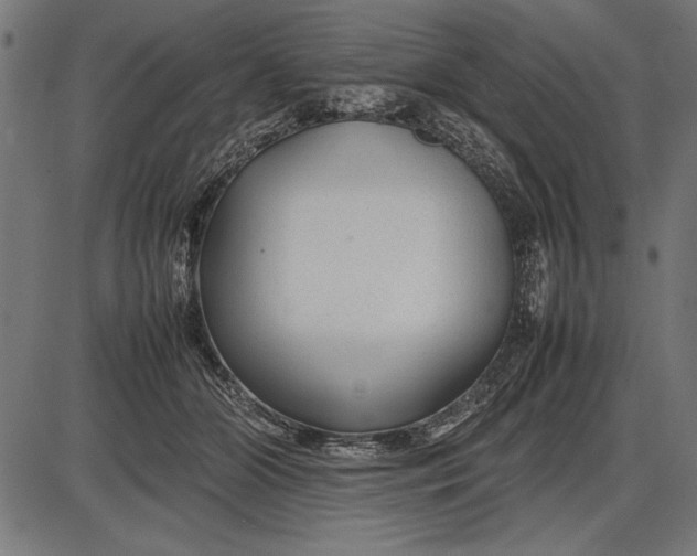 X0000086080510200704091304