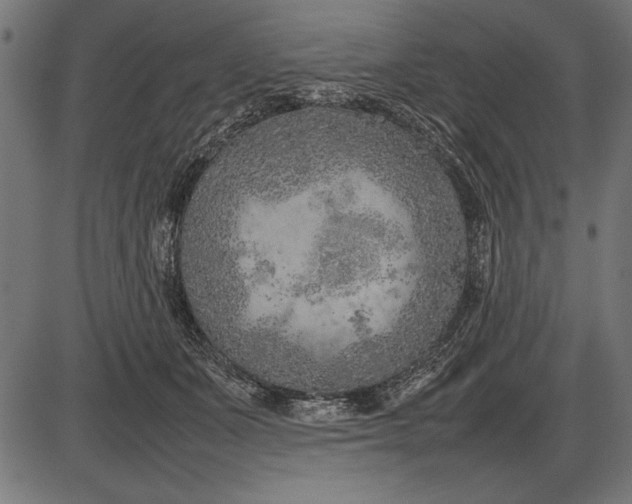 X0000086080511200704091304