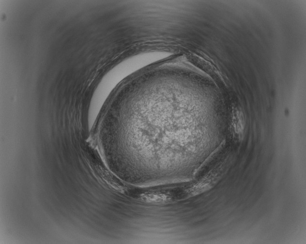 X0000086080512200704091304