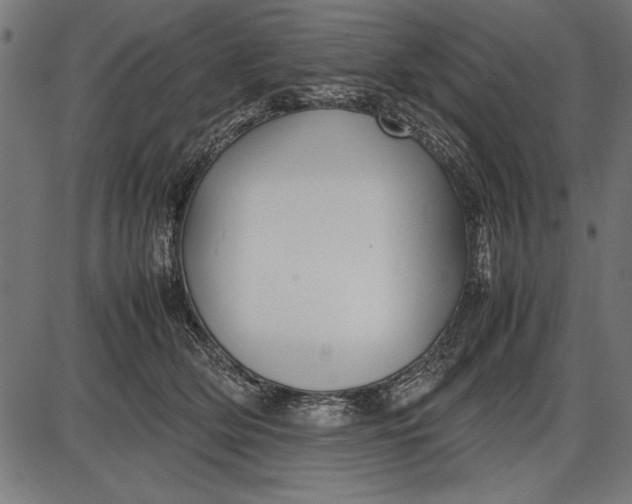 X0000086080514200704091304