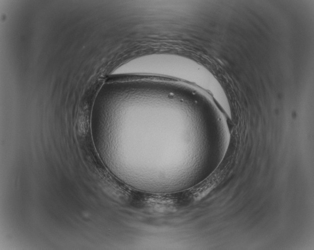 X0000086080515200704091304