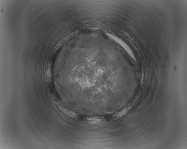 X0000086080516200704091304