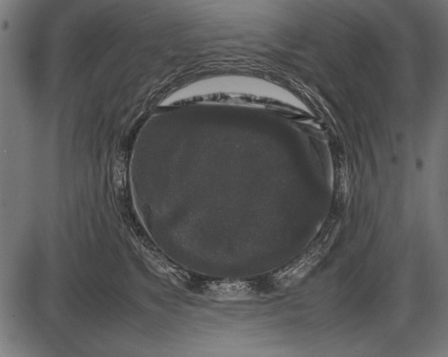 X0000086080517200704091304