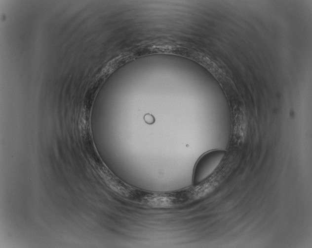 X0000086080518200704091304