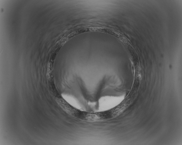 X0000086080519200704091304