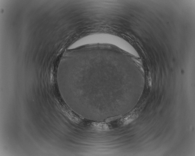 X0000086080520200704091304