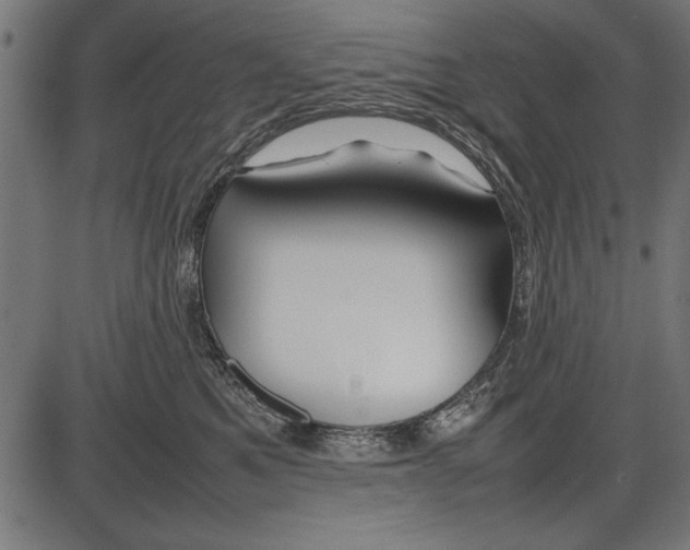 X0000086080521200704091304