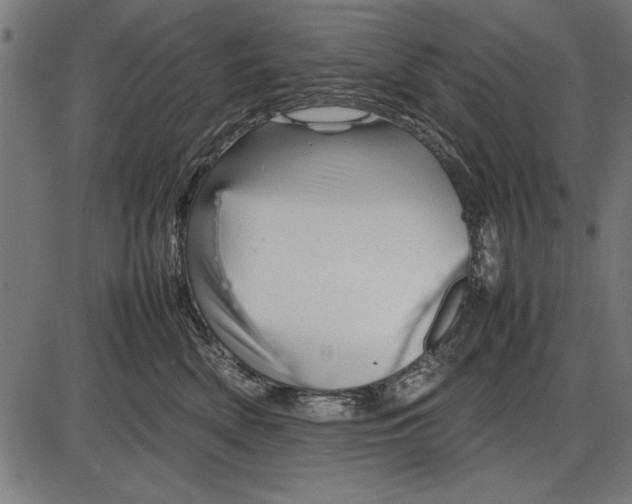 X0000086080522200704091304