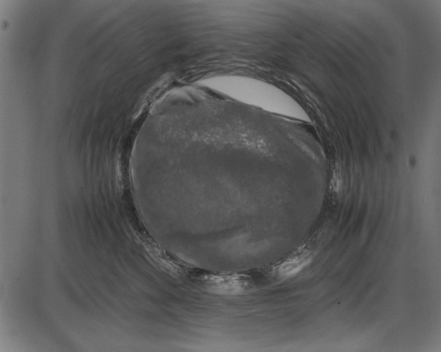 X0000086080524200704091304