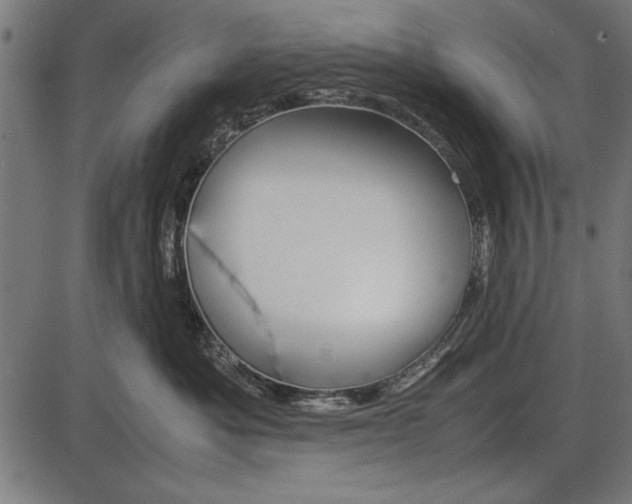 X0000086080525200704091304