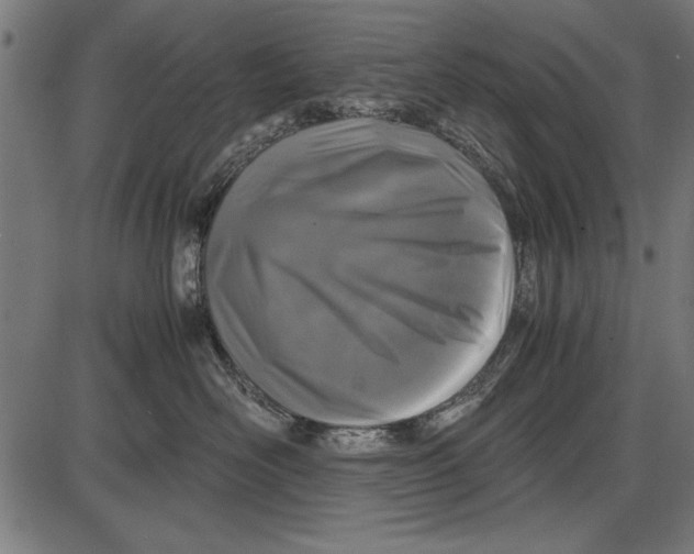 X0000086080526200704091304