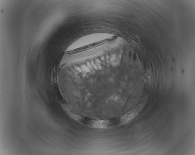 X0000086080527200704091304