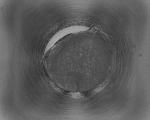 X0000086080528200704091304