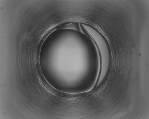 X0000086080530200704091303