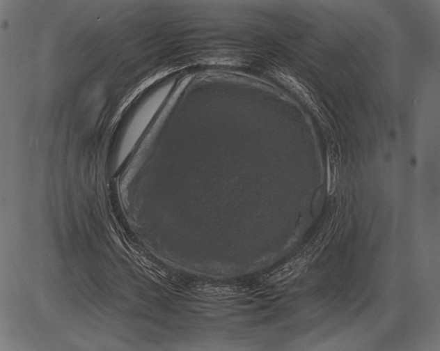 X0000086080531200704091303