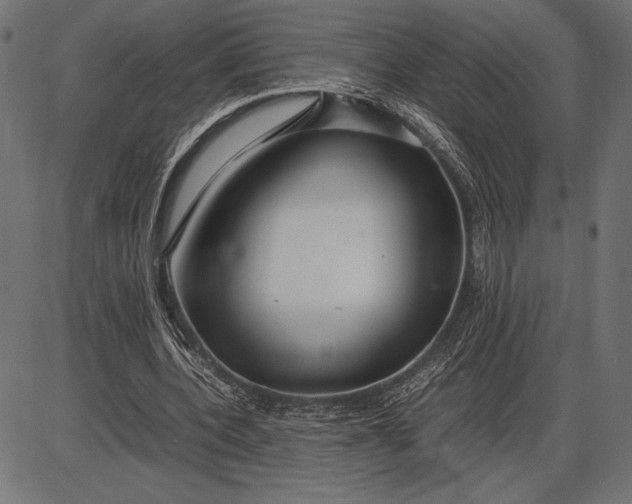 X0000086080532200704091303