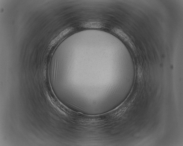 X0000086080533200704091303