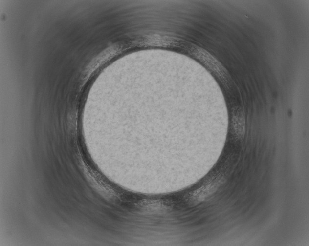 X0000086080534200704091303