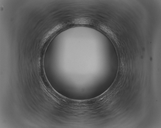 X0000086080535200704091303