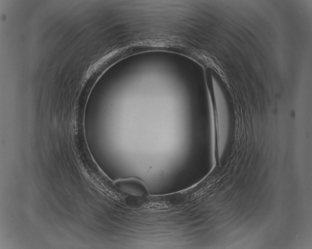 X0000086080536200704091303