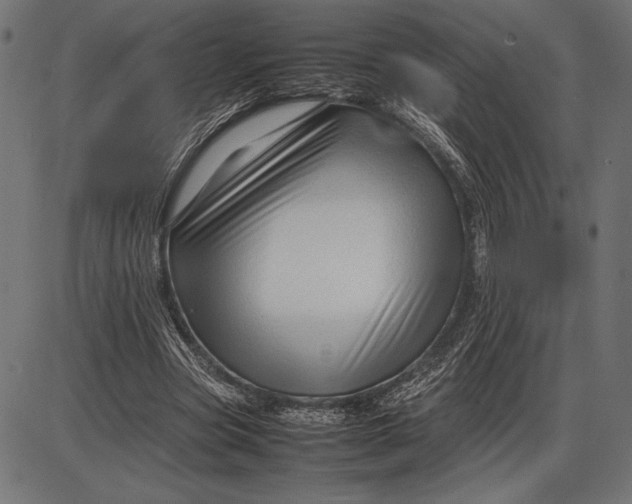 X0000086080537200704091303