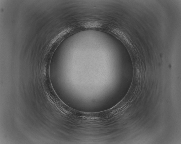 X0000086080539200704091303